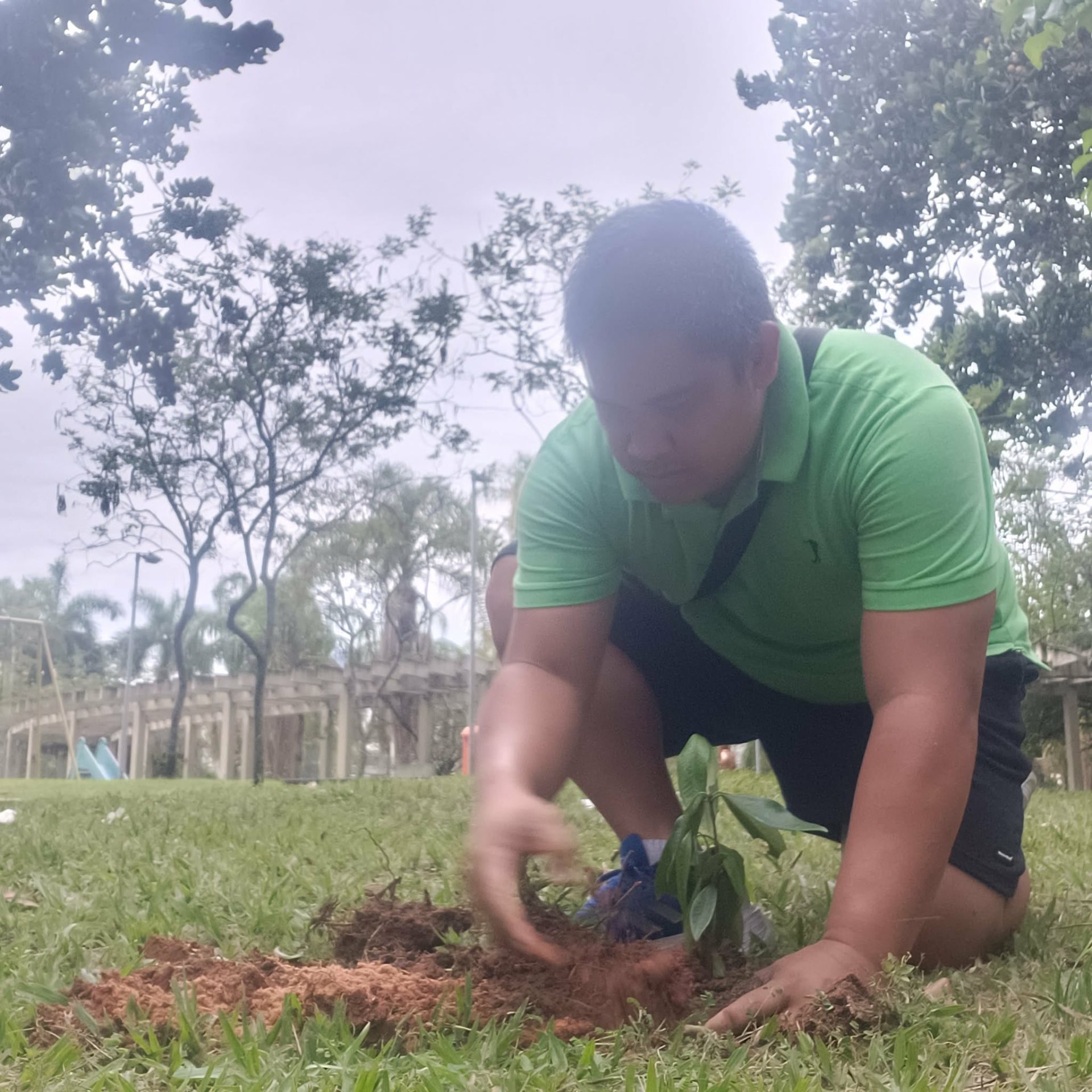 Native Tree Planting in Barra da Tijuca, Rio de Janeiro — photo 15