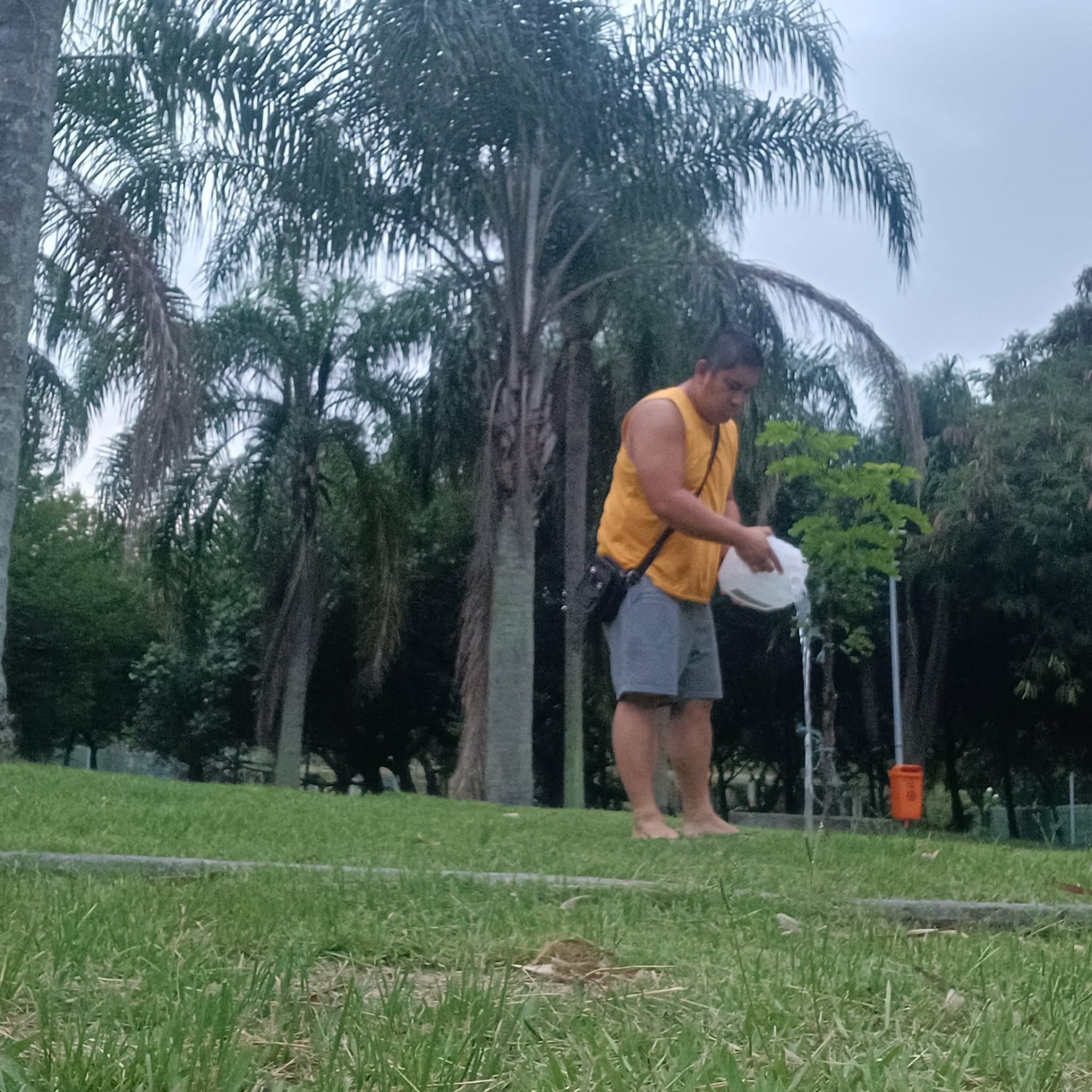 Native Tree Planting in Barra da Tijuca, Rio de Janeiro — photo 3