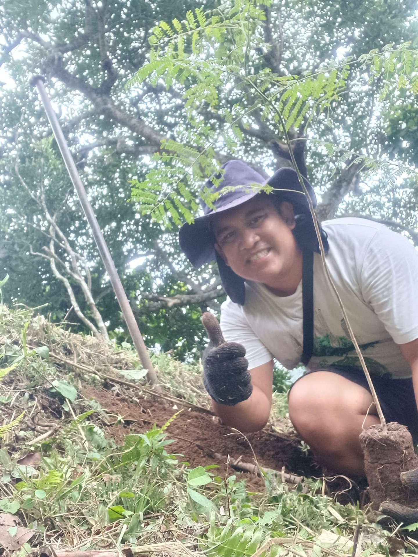 Native Tree Planting in various areas in Teresópolis, Rio de Janeiro — photo 8
