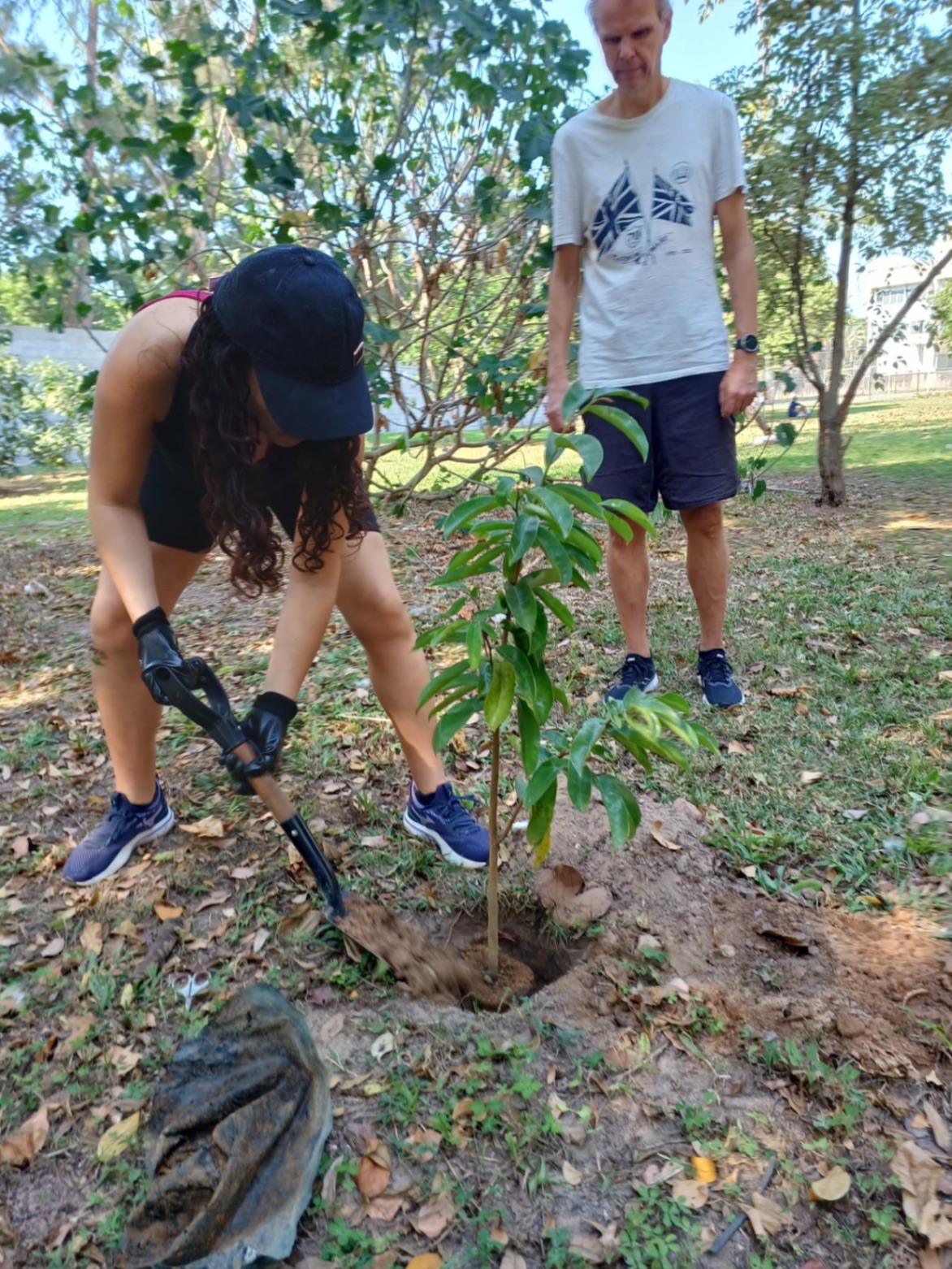 Native Tree Planting in Barra da Tijuca, Rio de Janeiro — photo 2