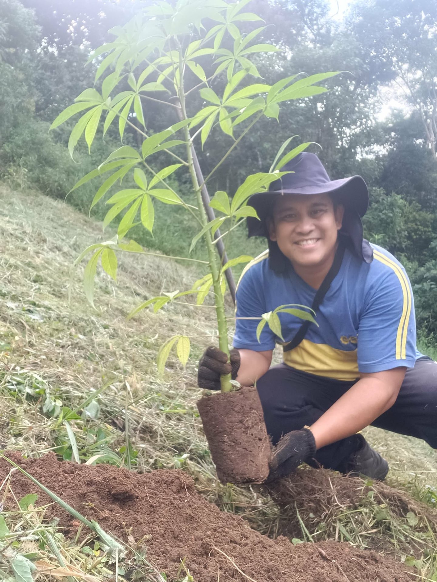 Native Tree Planting in various areas in Teresópolis, Rio de Janeiro — photo 7