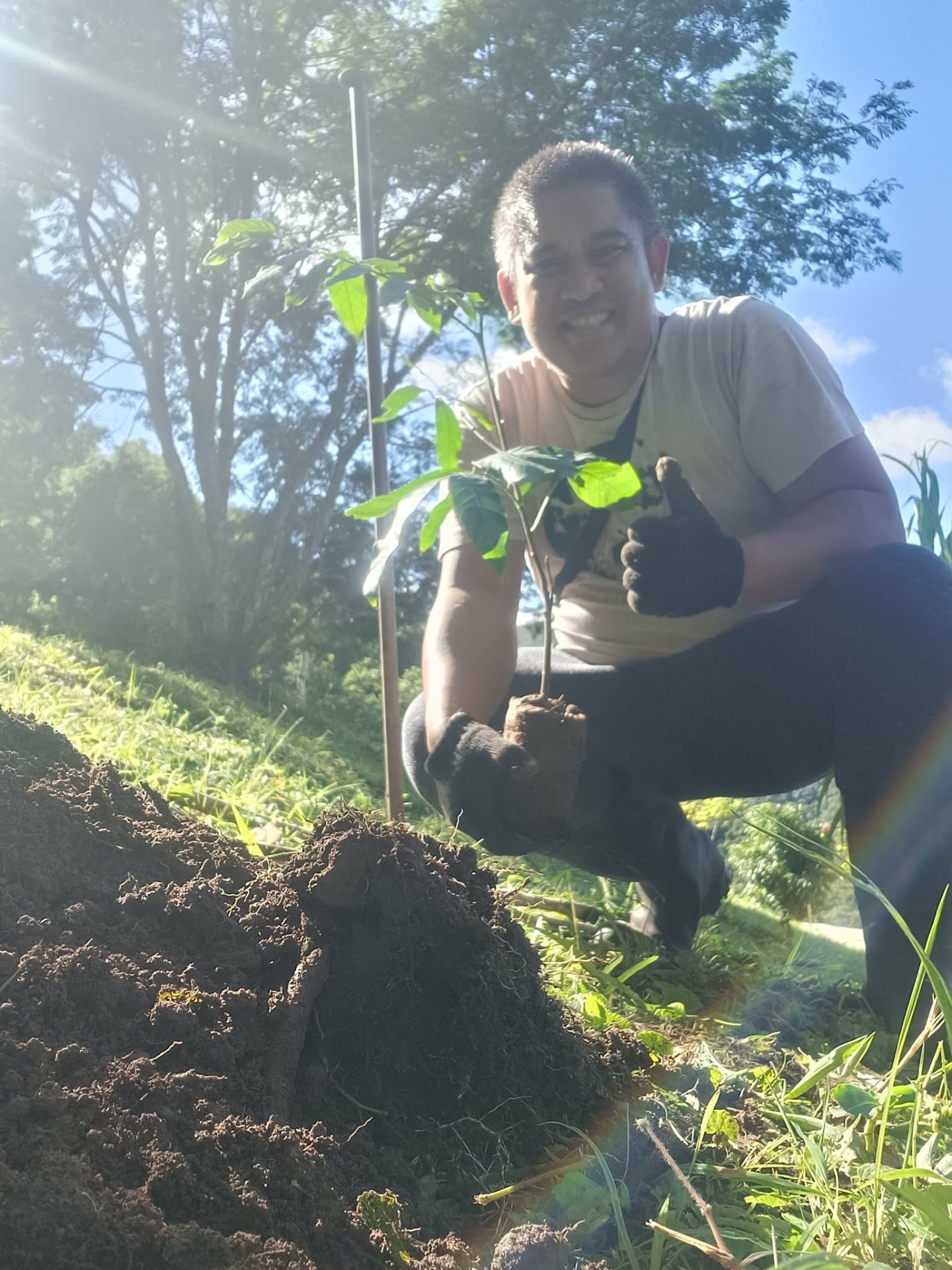 Native Tree Planting in various areas in Teresópolis, Rio de Janeiro — photo 10