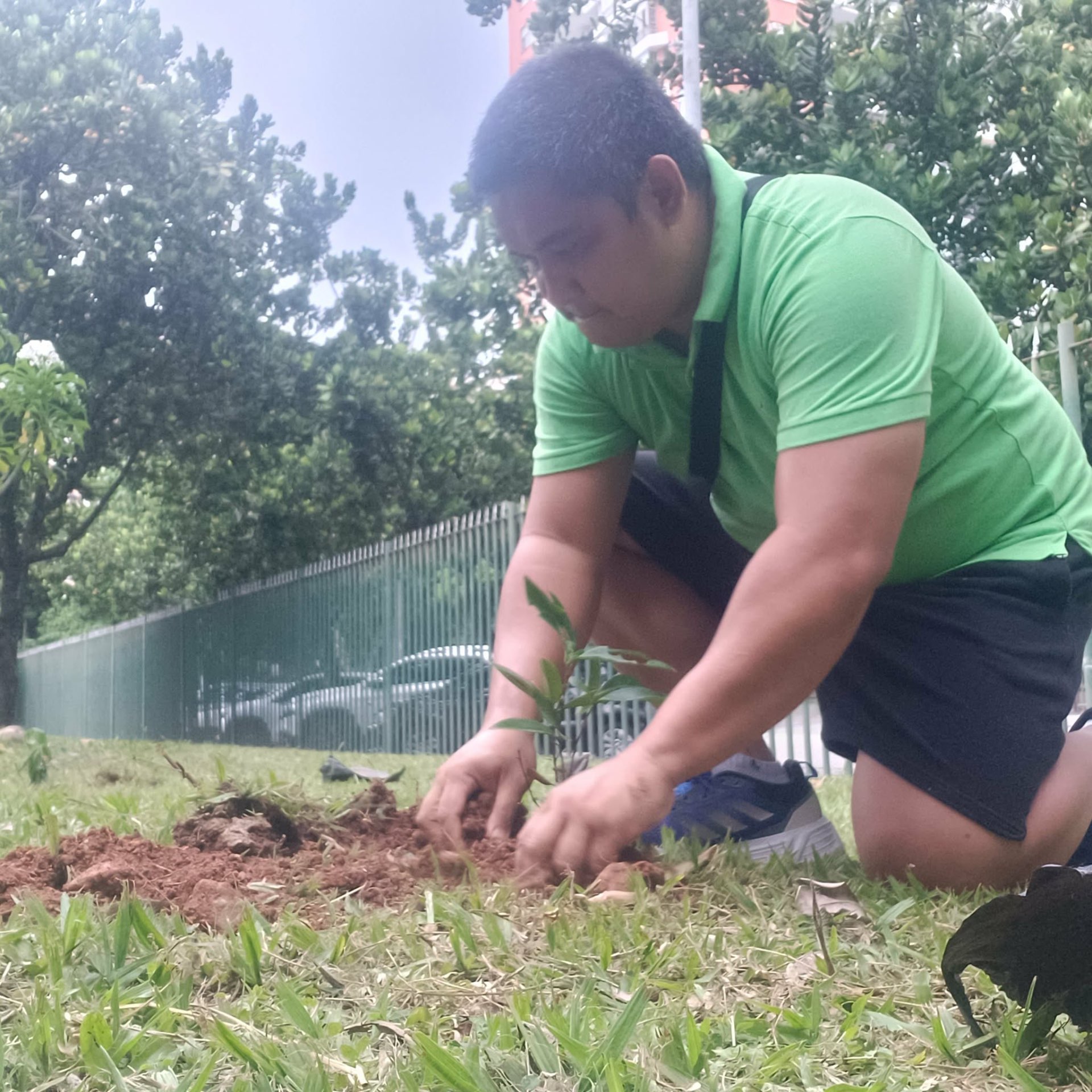 Native Tree Planting in Barra da Tijuca, Rio de Janeiro — photo 7